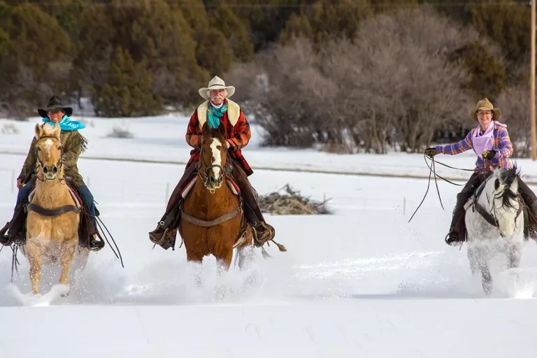 Telluride Horseback and Sleigh Ride Adventures