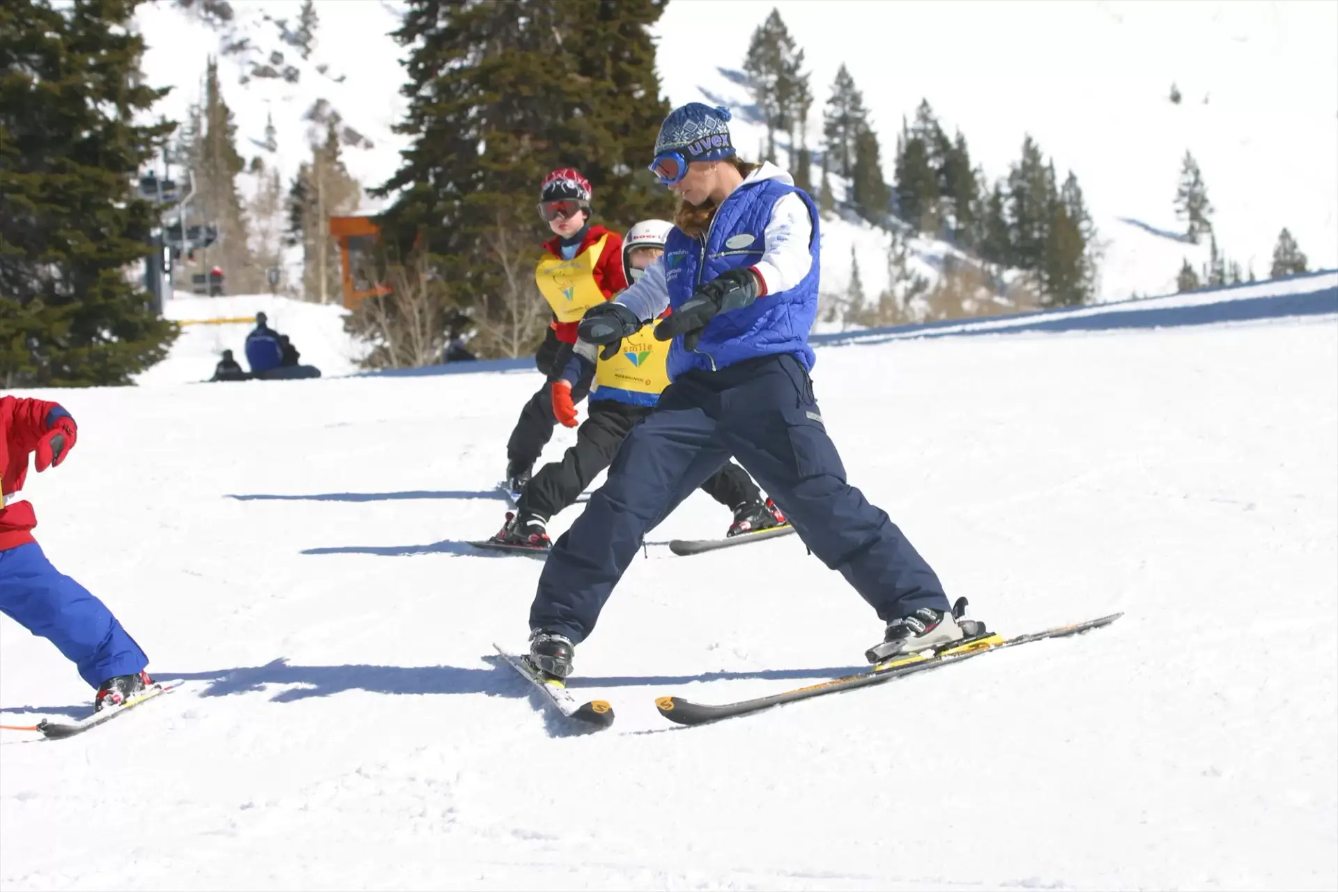 Snowbird