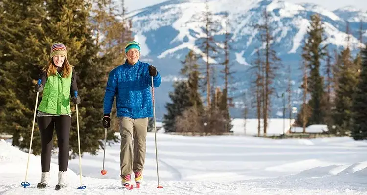 Glacier Adventure Guides