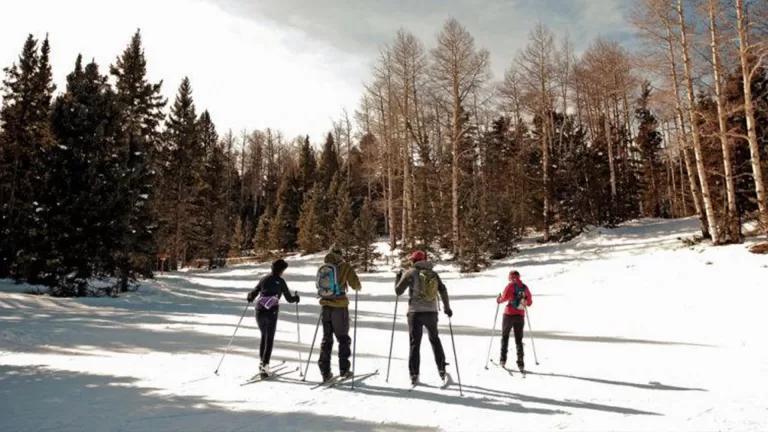 Cross-Country Skiing