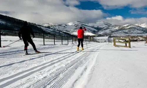 Cross-Country Skiing