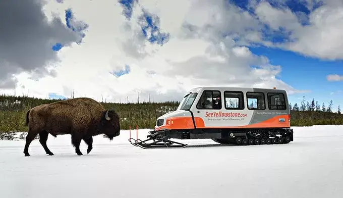 Yellowstone National Park SnowCoach Tour