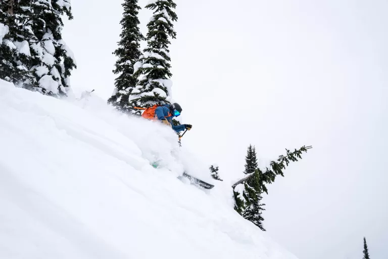 Snowcat Back-Country Skiing