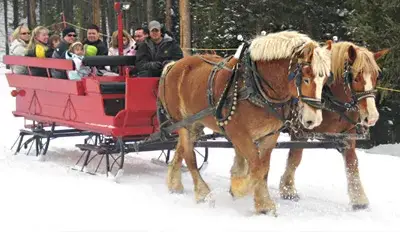 Sleigh Rides in Breckenridge