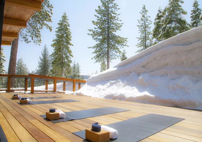 Yoga & Wellness Classes