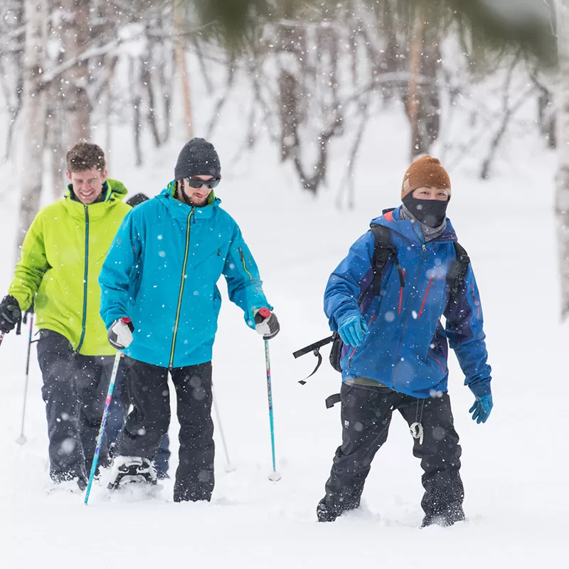 Cross-country Ski Course