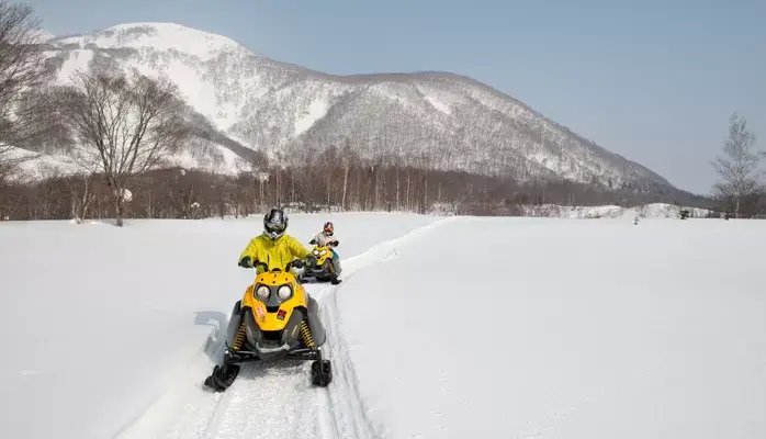 Snowmobile Adventure