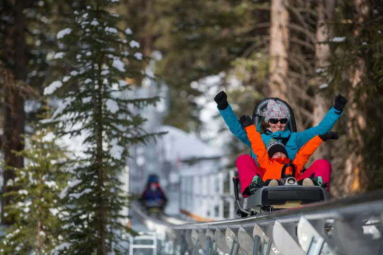 Breathtaker Alpine Coaster