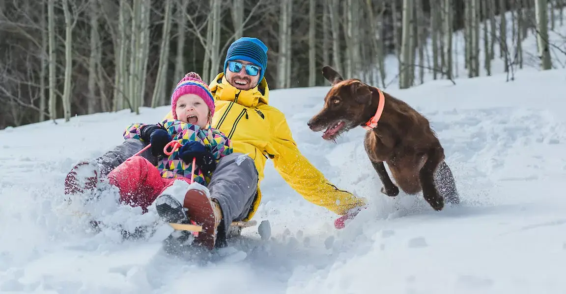 Telluride sleding