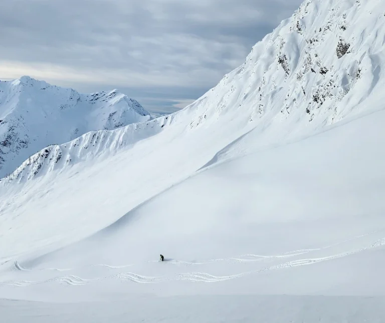 Backcountry Touring Revelstoke