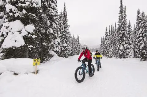Fat Biking Sun Peaks
