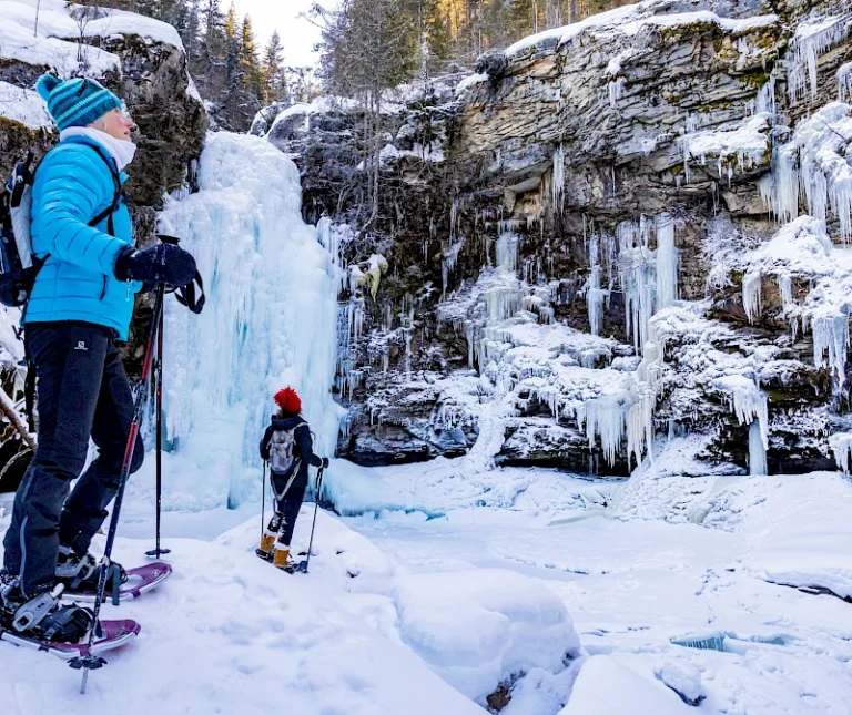 Snowshoeing Revelstoke