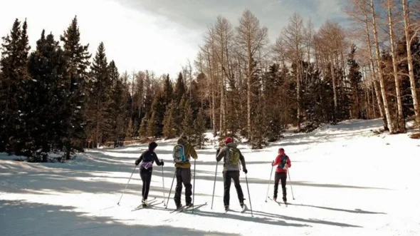 Cross-Country Skiing