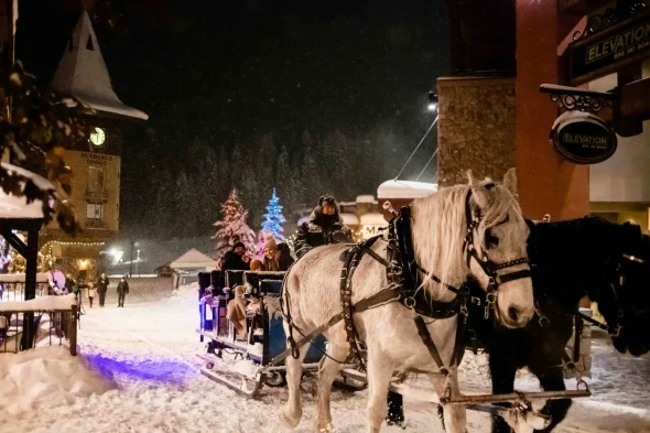 Sun Peaks Horse Drawn Sleigh Rides