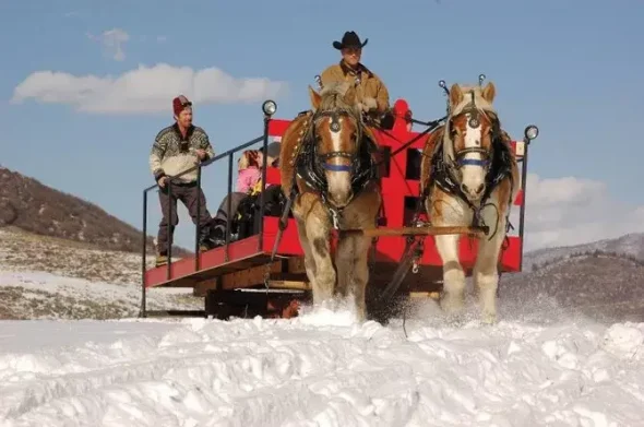 Saddleback Ranch