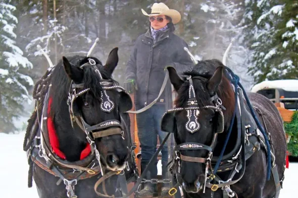 Sleigh Rides in Whitefish